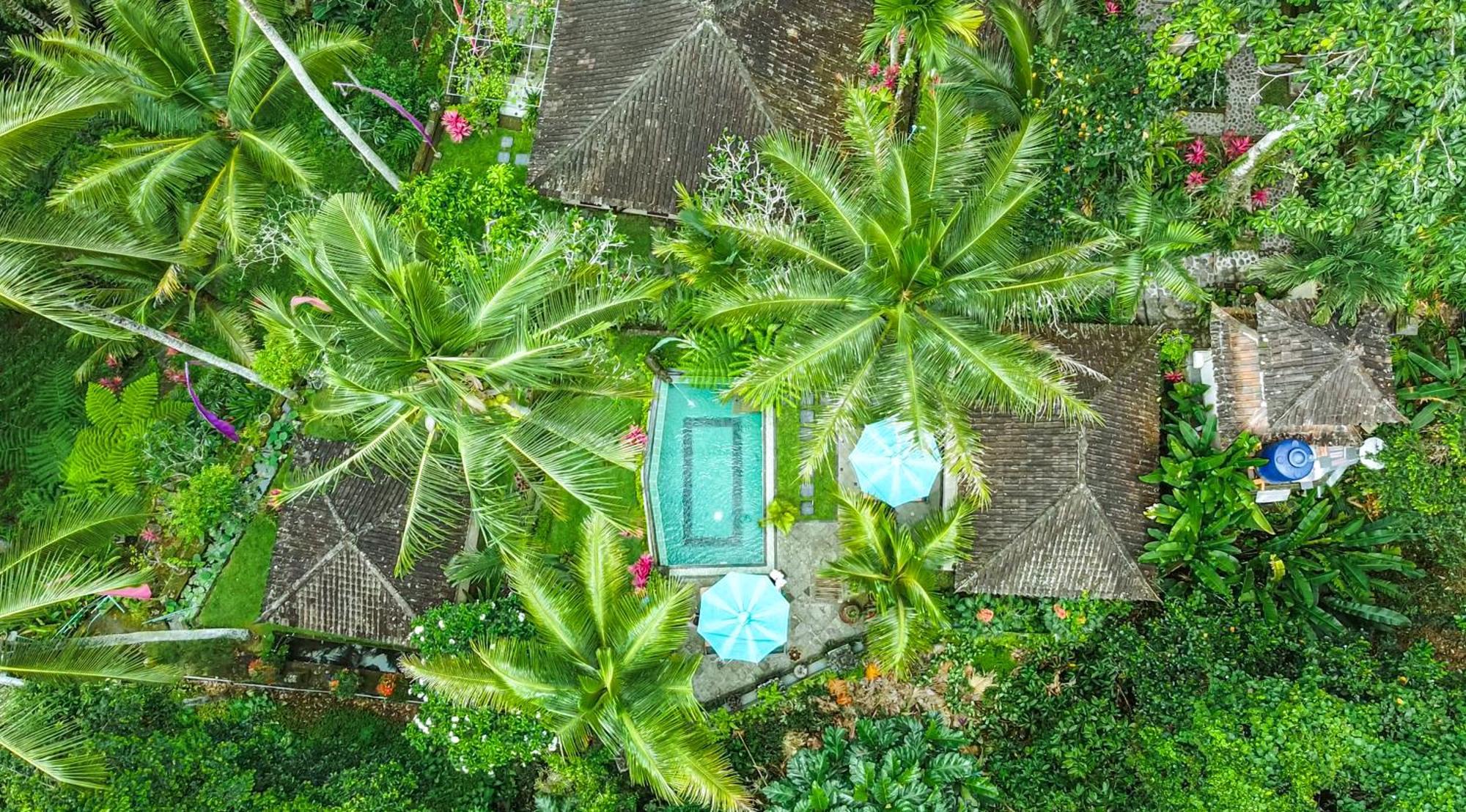 The Mahogany Villa Ubud Tegallalang  Exterior photo