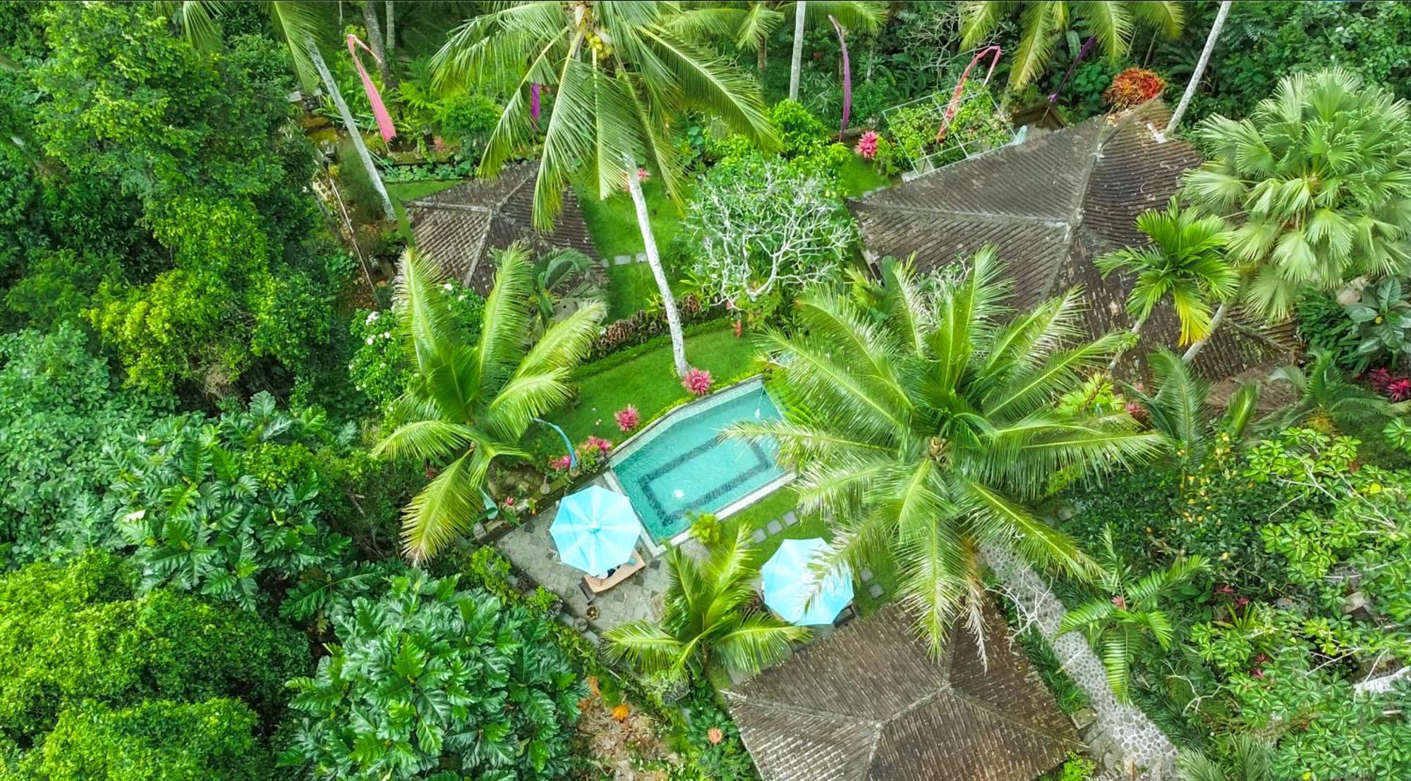 The Mahogany Villa Ubud Tegallalang  Exterior photo